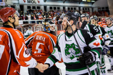 ml_140120_12 ml_140120_12