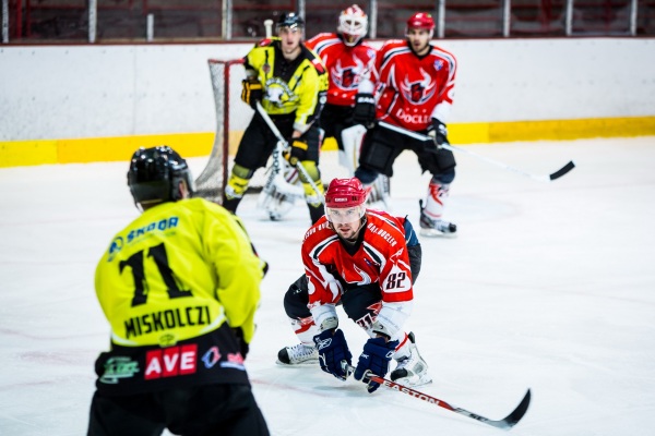 DAB-MIS-ml_121012_09-sml