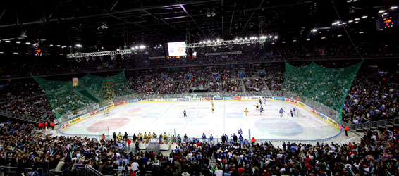 icefever