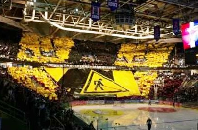 Mannheim fans 2