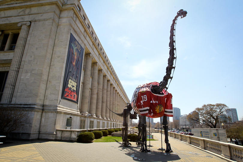 chi_fieldmuseum