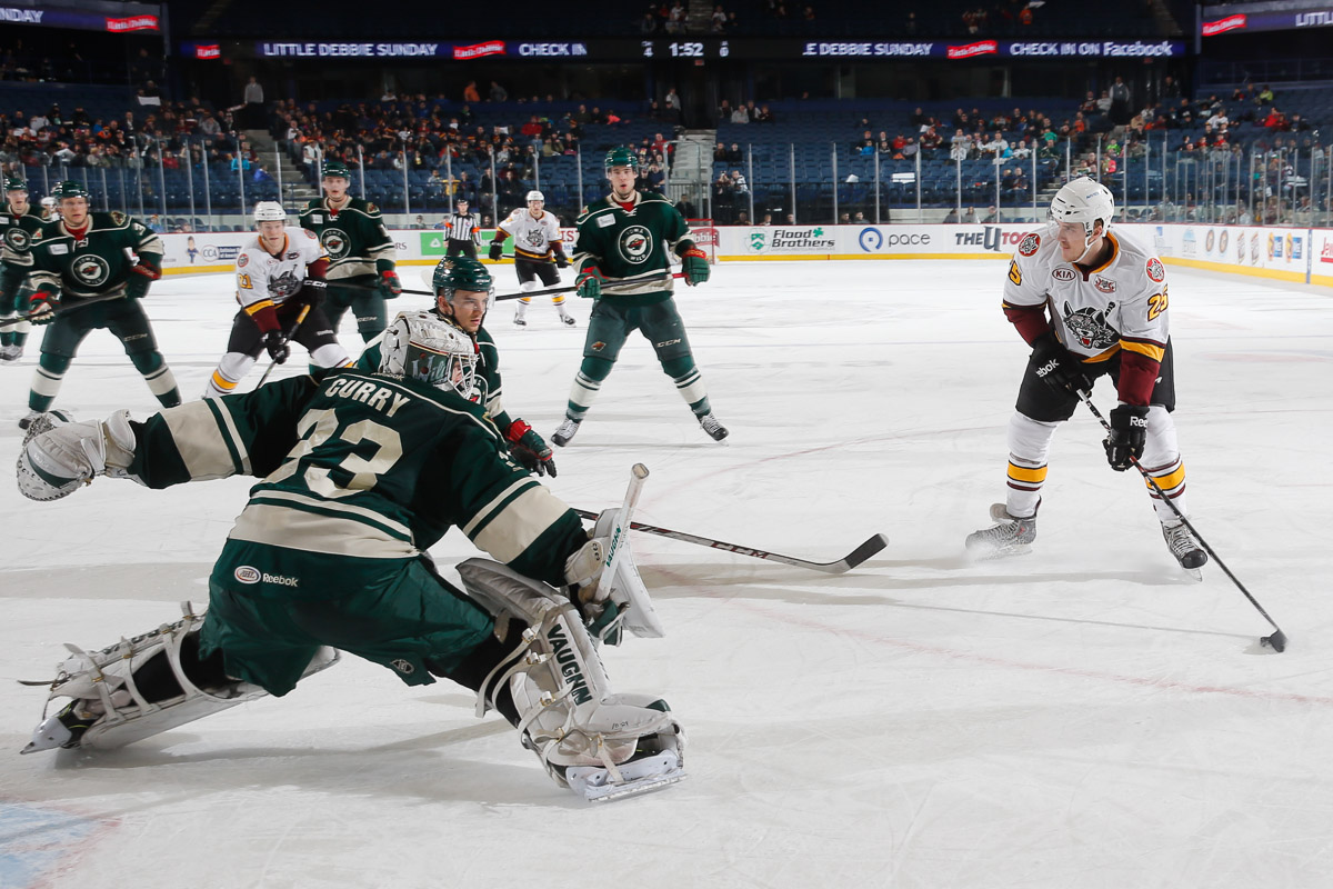 Nagy Gergo Chicago Wolves Iowa Wild