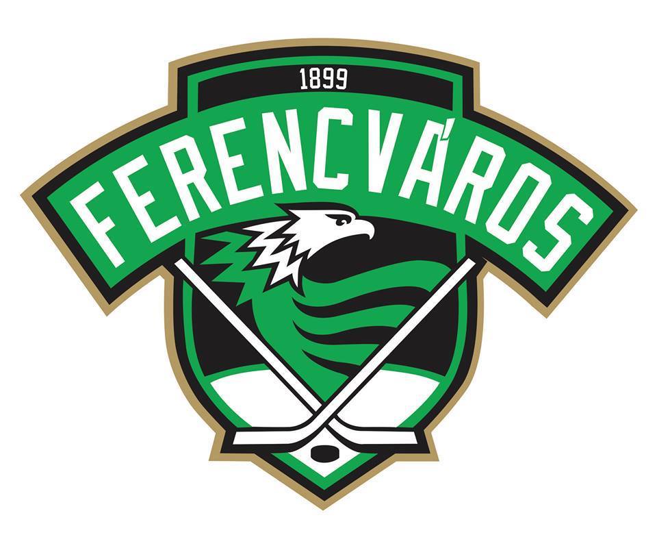 FTC hoki logo