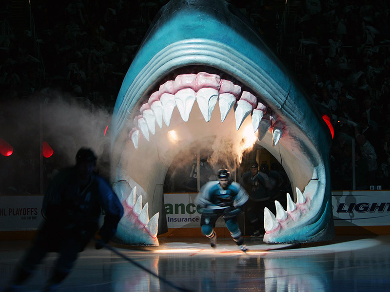 San Jose Sharks 3
