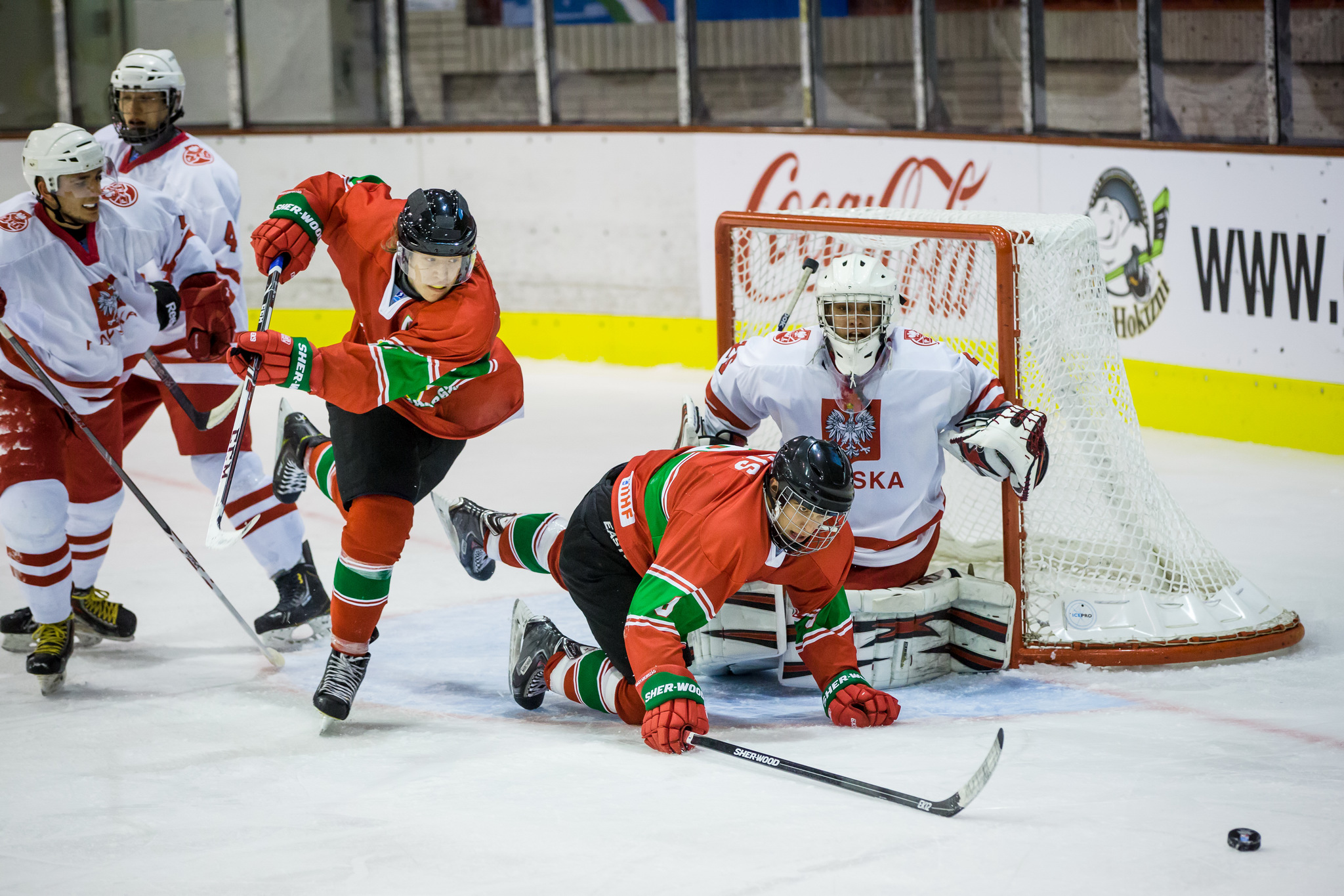 Fotó: Mudra László - MJSZ