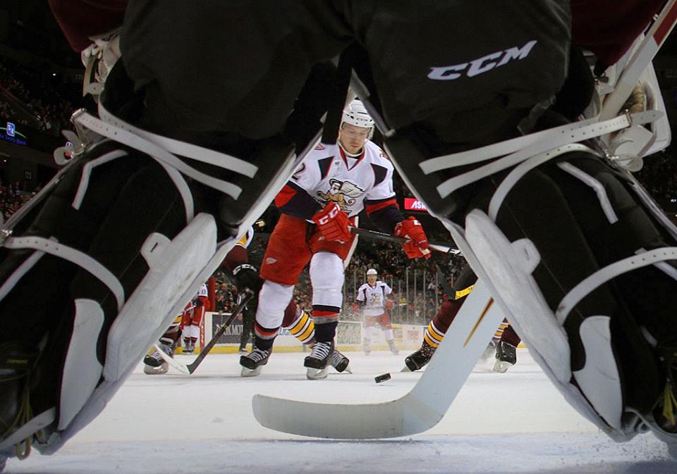 Chicago Wolves csak egy kep