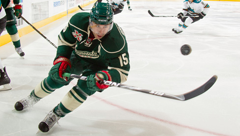 Minnesota Wild