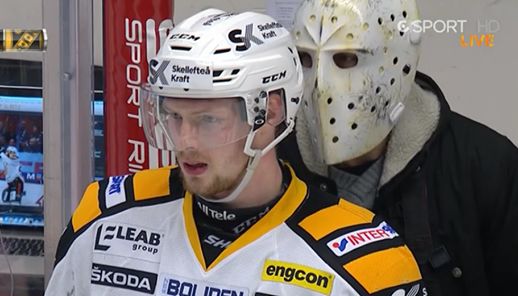 linkoping_skeleftea