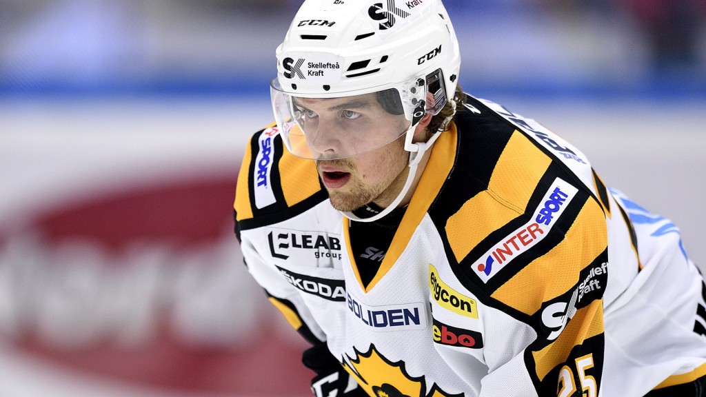 holmstrom
