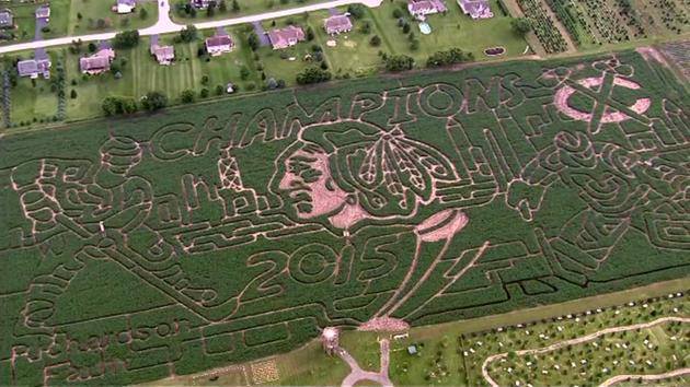 Chicago farmer