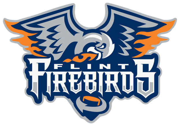 FlintFirebirds