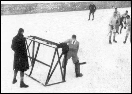 goal-judge-behind-net