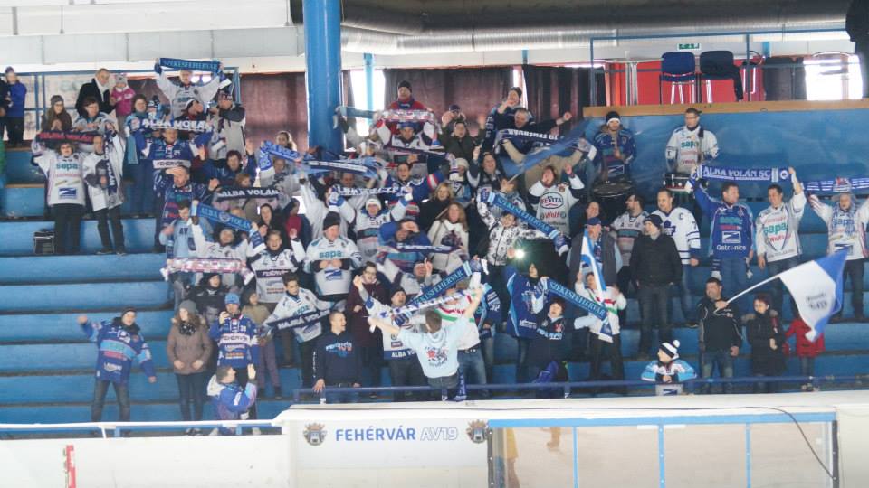 AVS gerilla 4