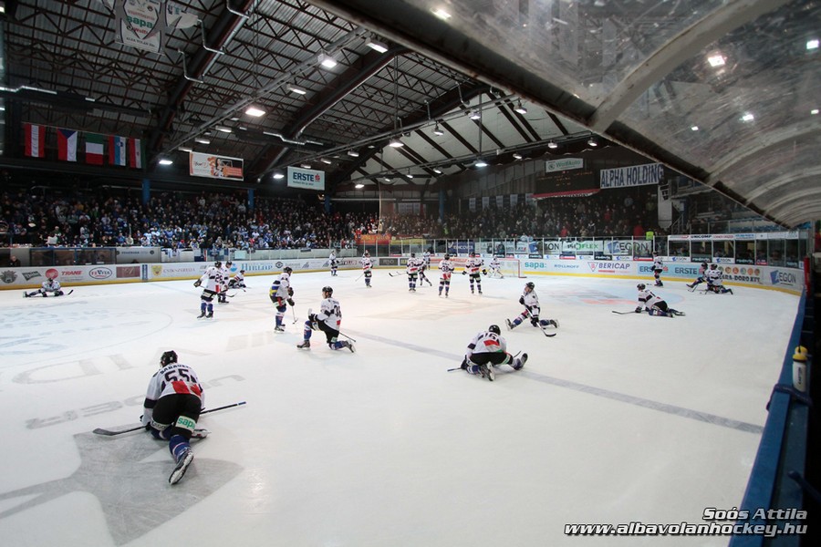 AVSVIC kozonseg