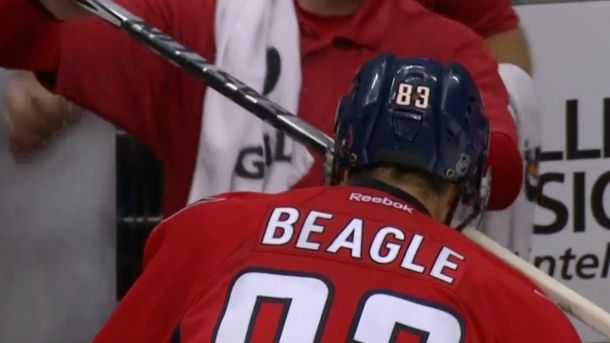 Beagle stick