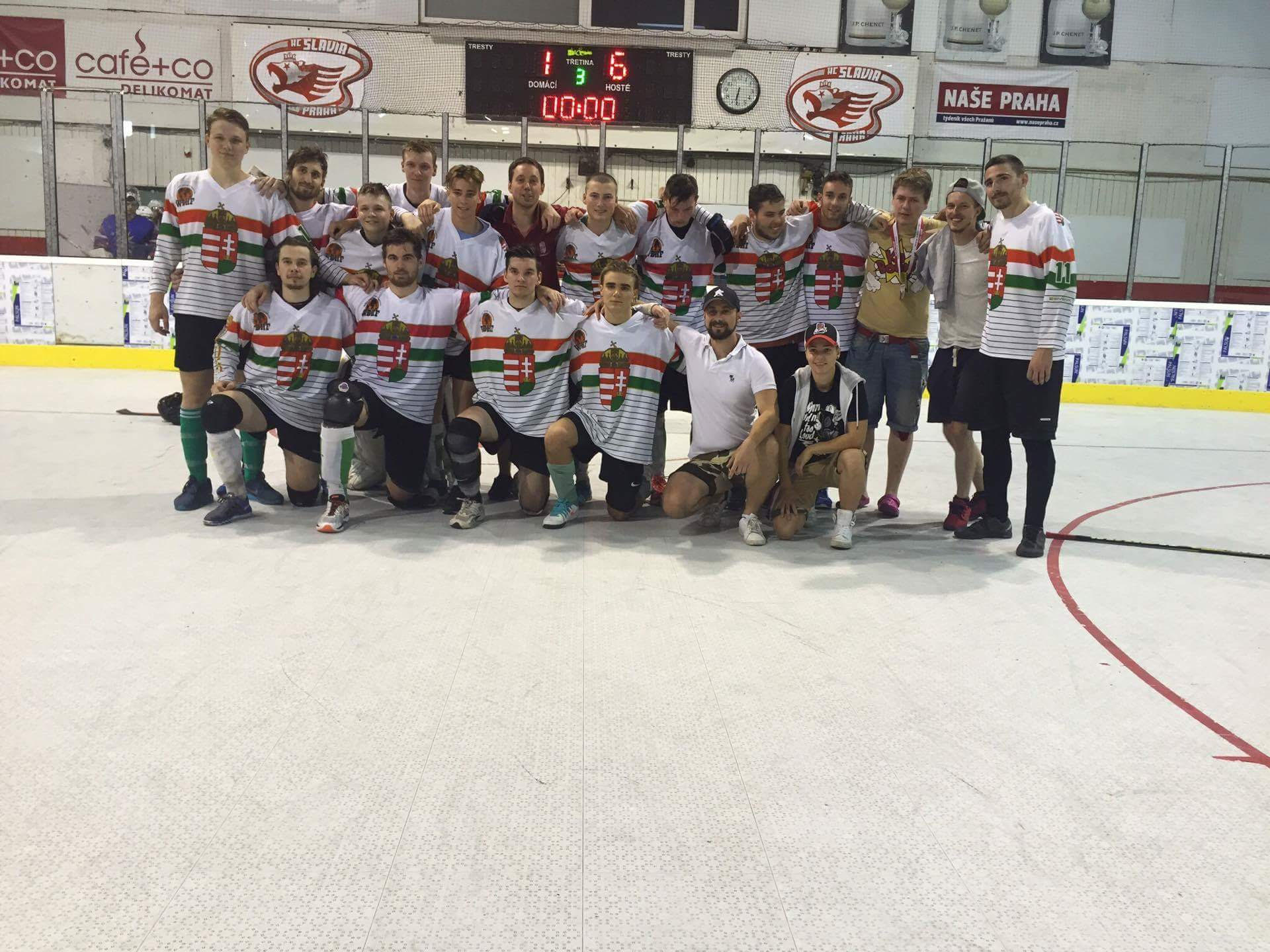 ballhockey