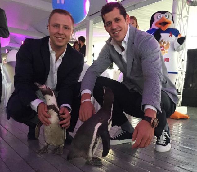 Malkin pingvin