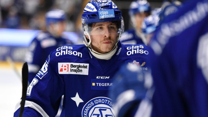 hari janos leksand