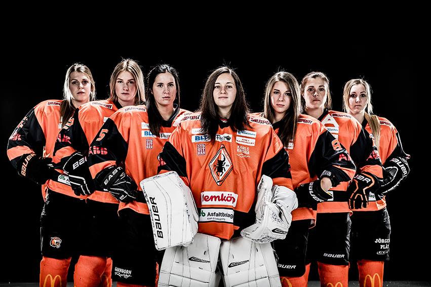 karlskronadam