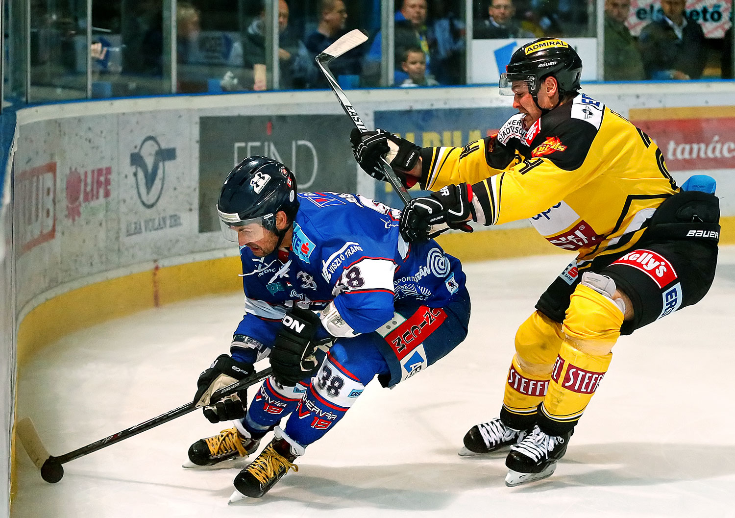 AVSVIC