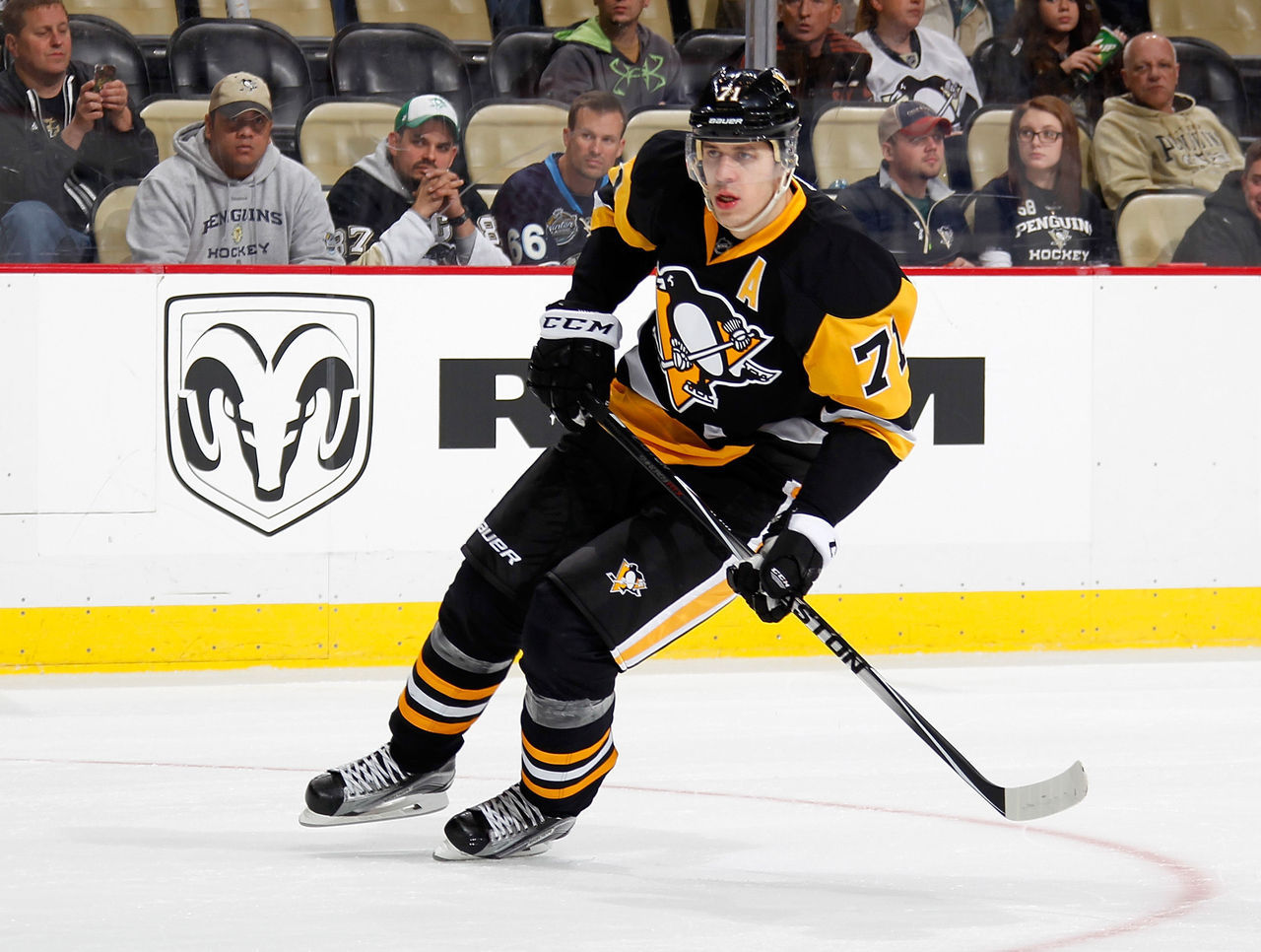 malkin