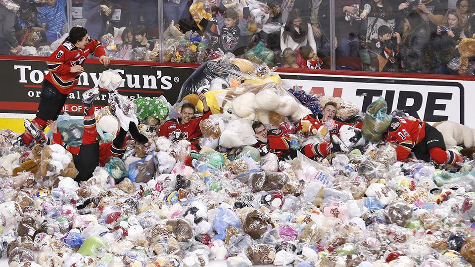 2015 teddybear toss