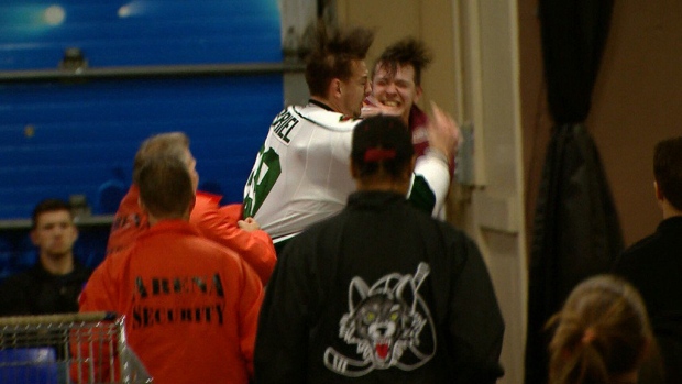 AHL fight