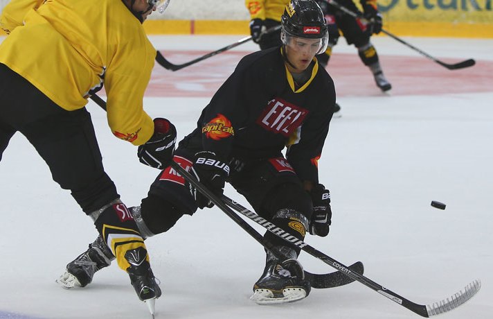 Vienna Capitals U20