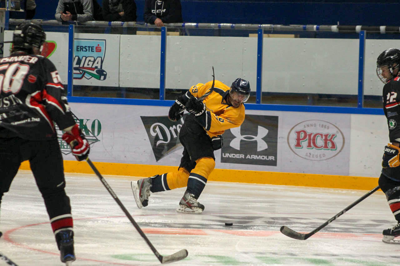 palko5
