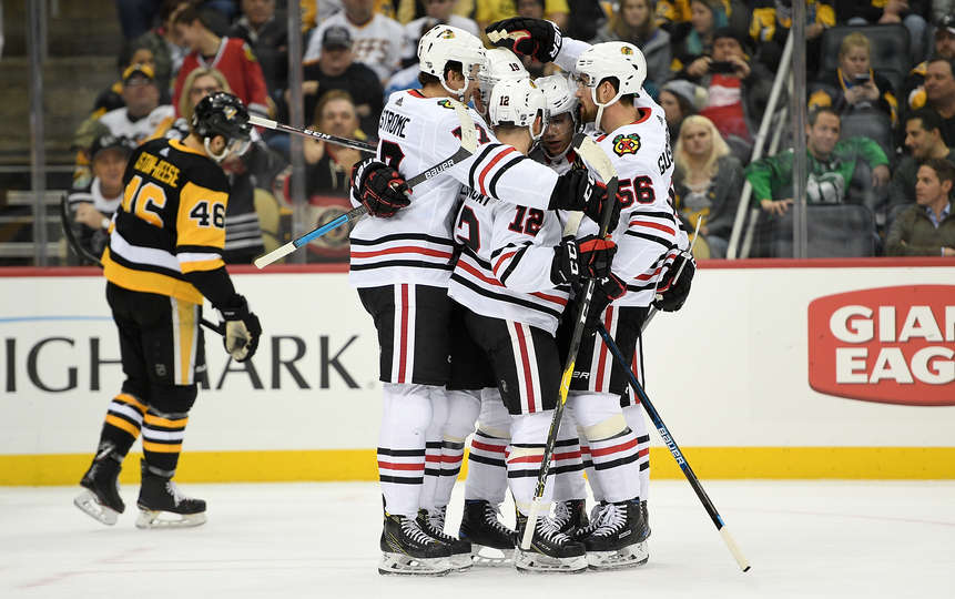 hawks