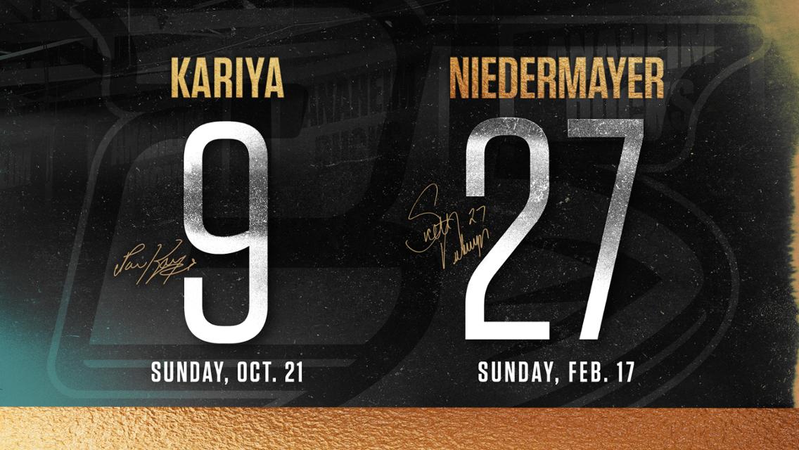 kariya niedermayer