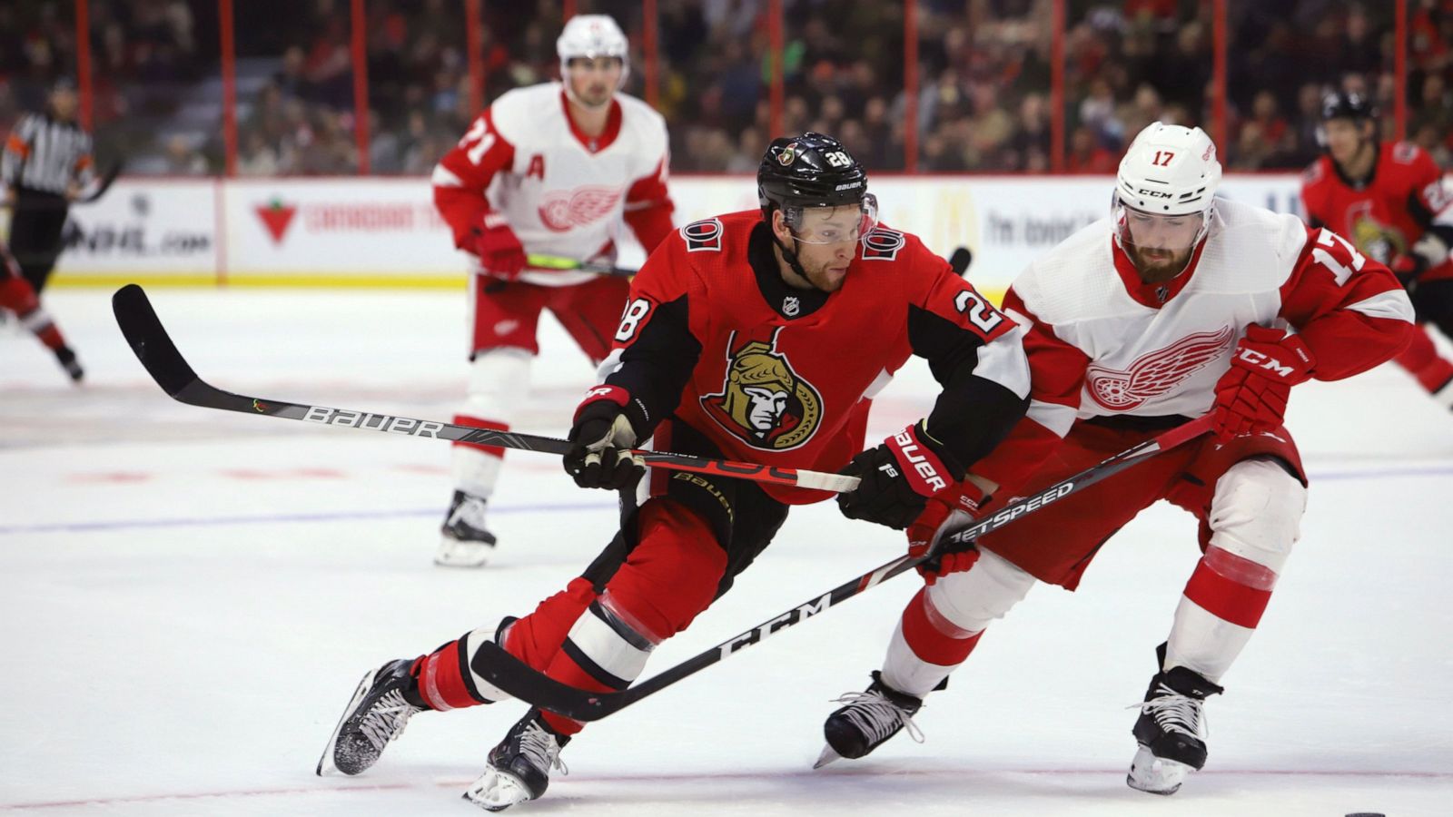 sens wings