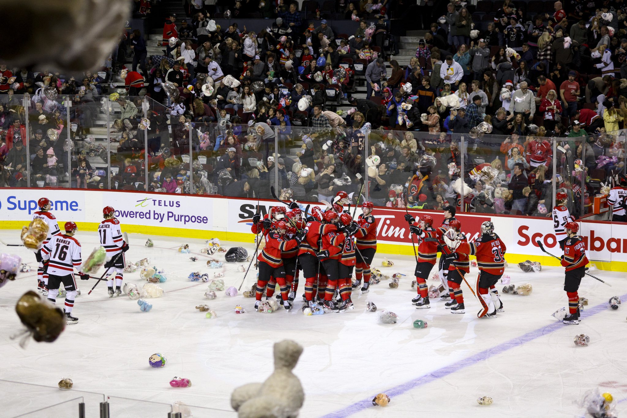 calgary hitmen teddy bear toss 2