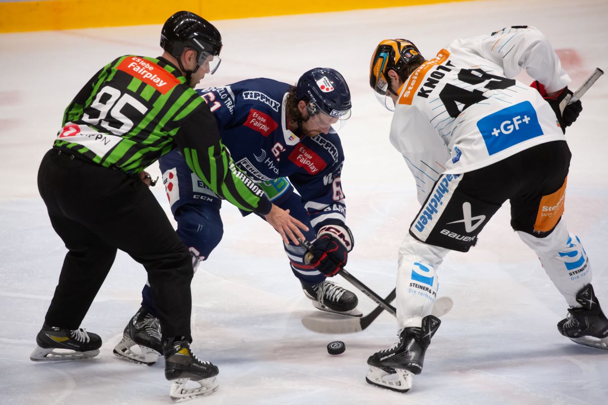 avs linz findlay