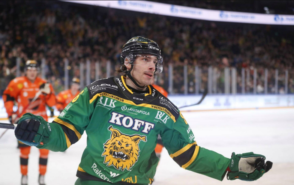 sebok ilves