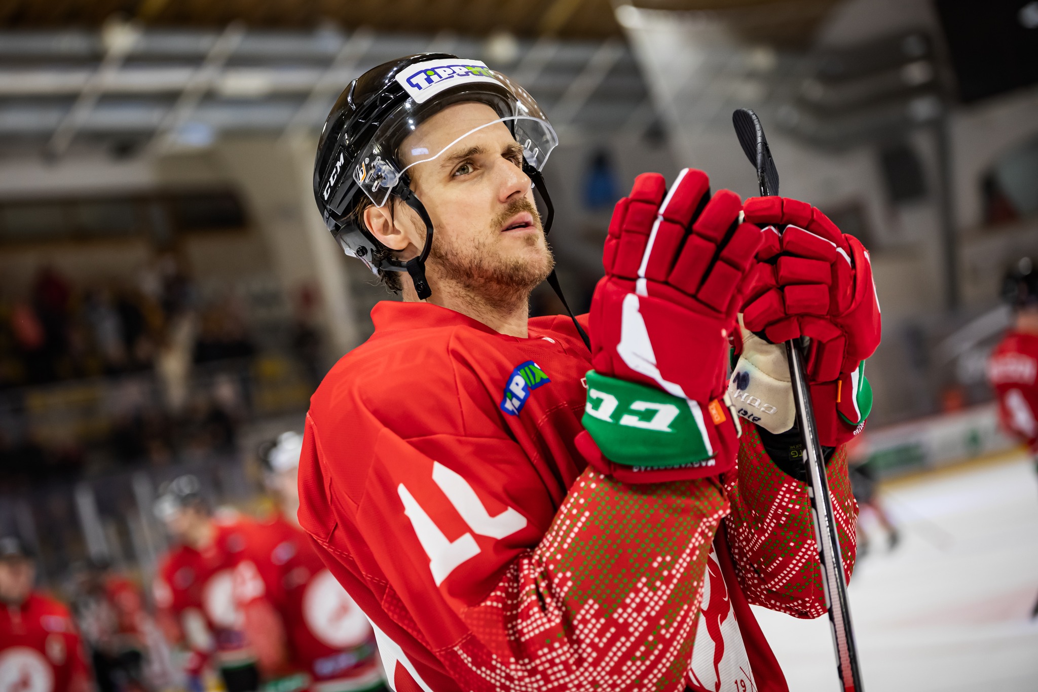 nagy gergo magyar valogatott