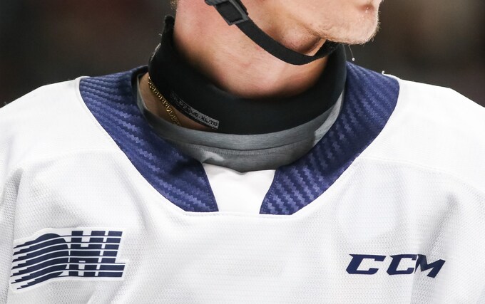 neck guard