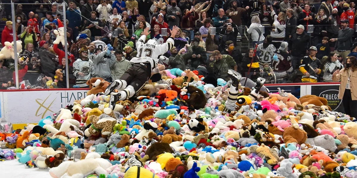 hershey bears teddy toss